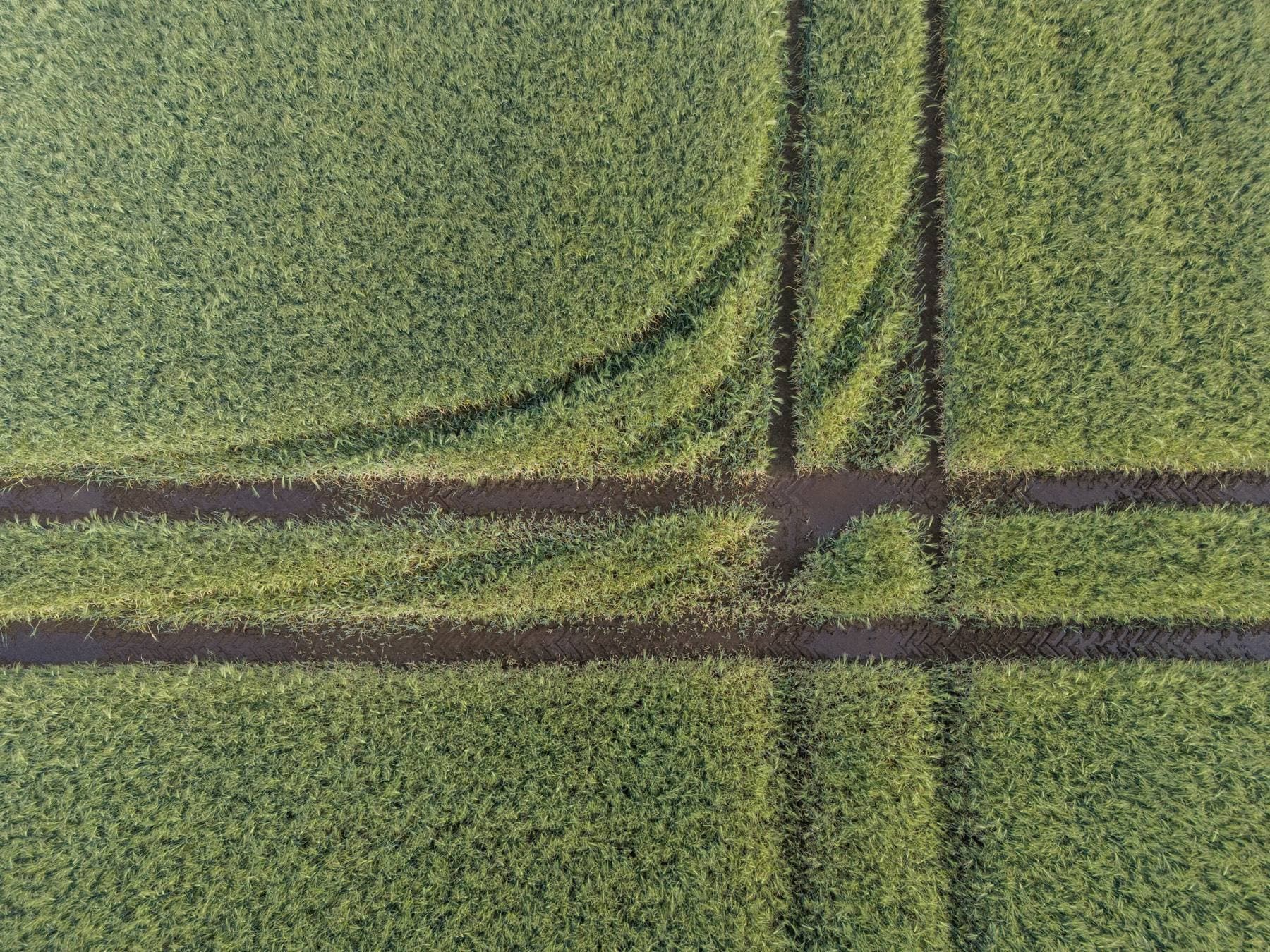 Aerial view of a cultivated field in Germany