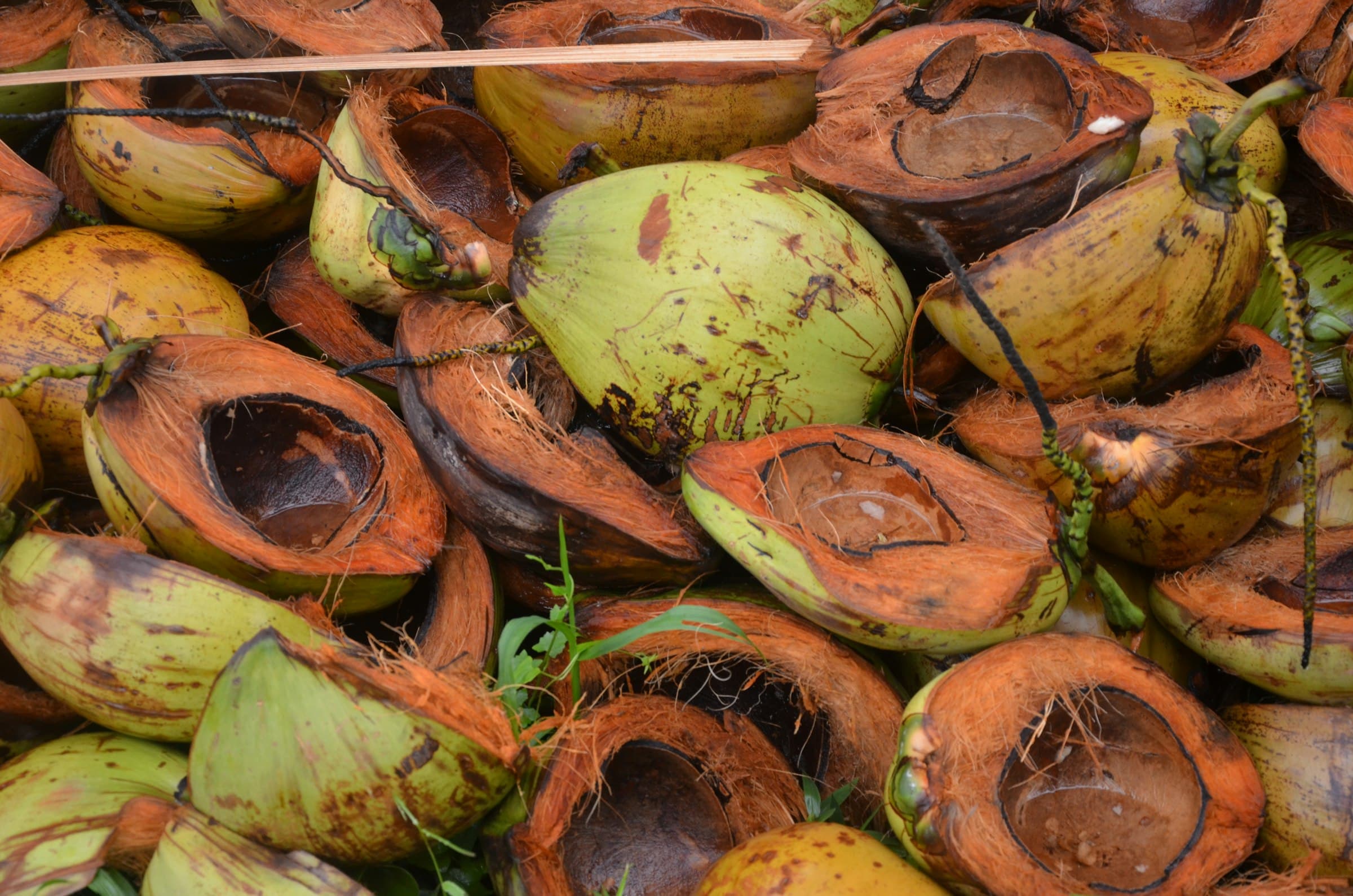Cut green coconut husks