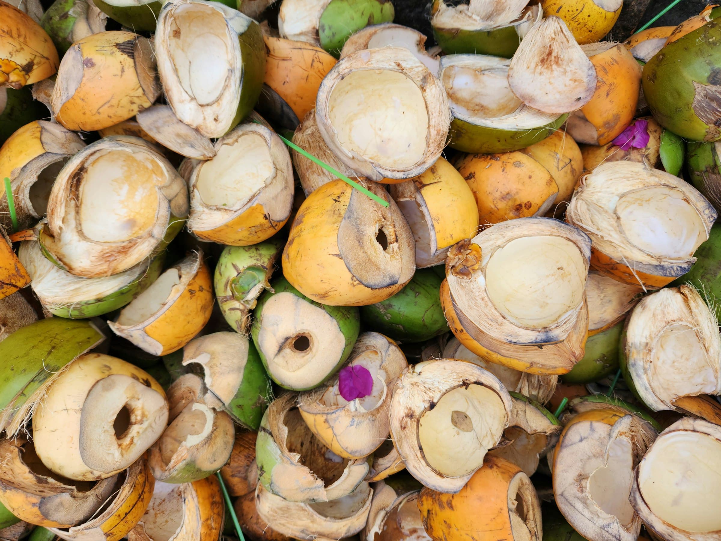 Cut yellow and green coconut husks