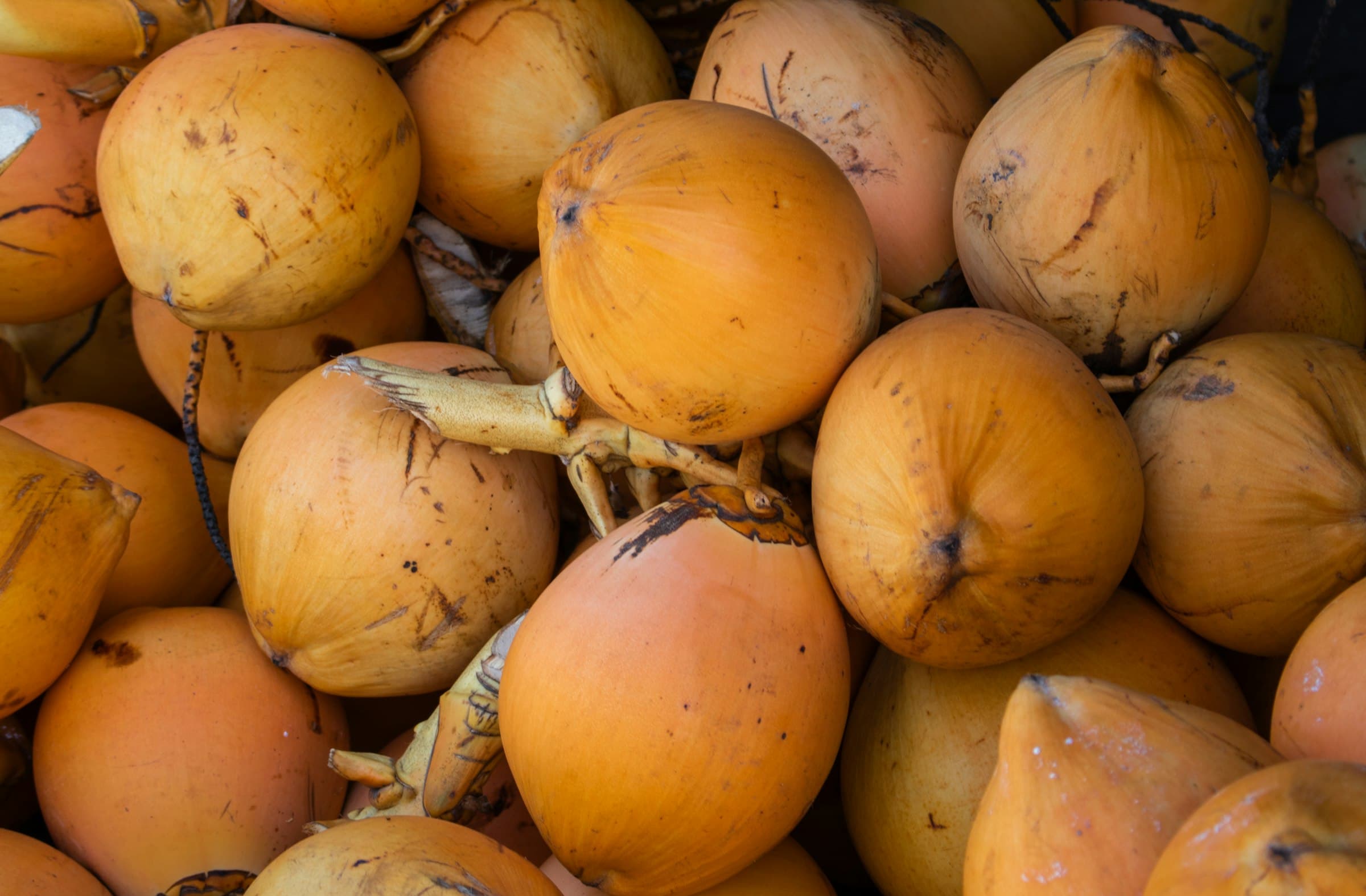 Yellow coconuts