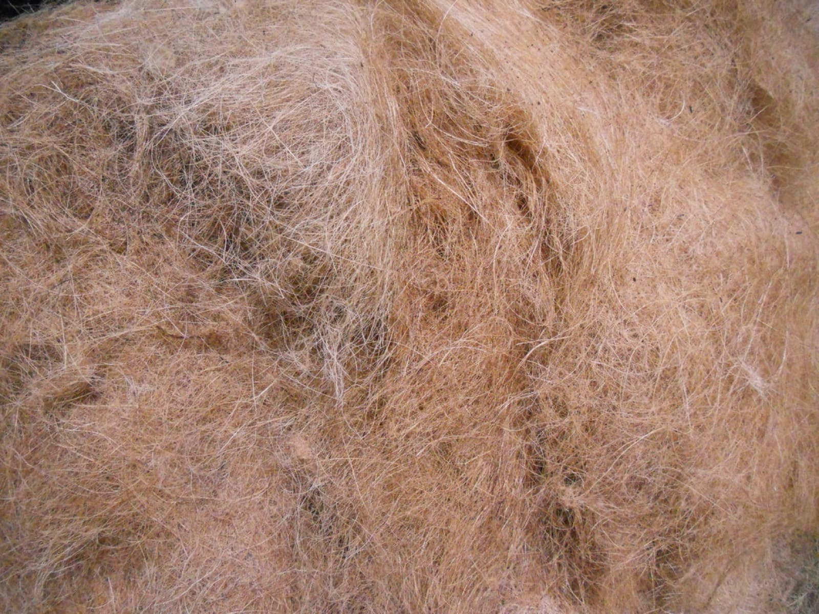 Loose coco fibre