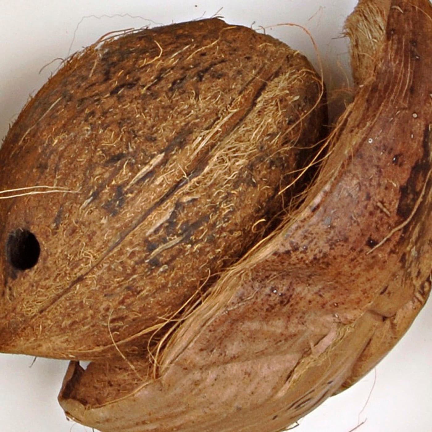 Coconut husk