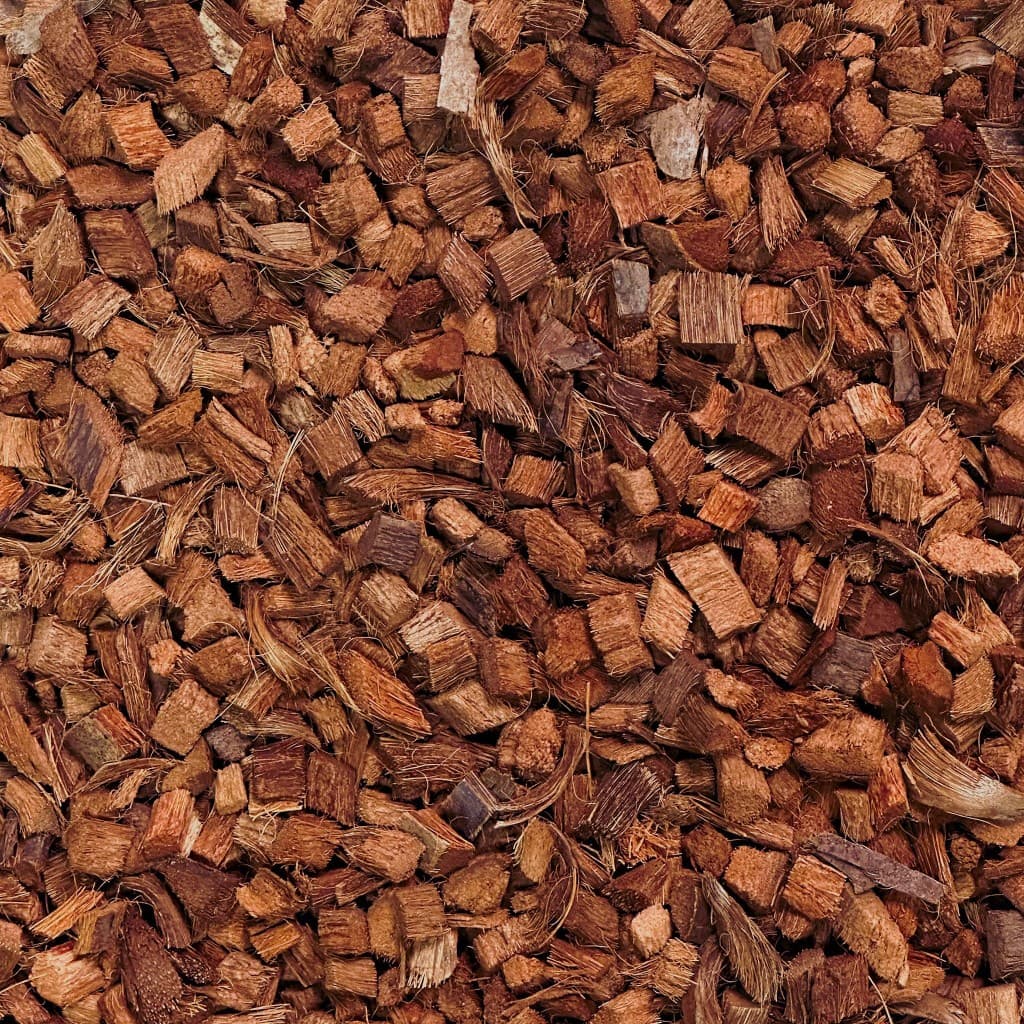 Close-up of cut coco chips