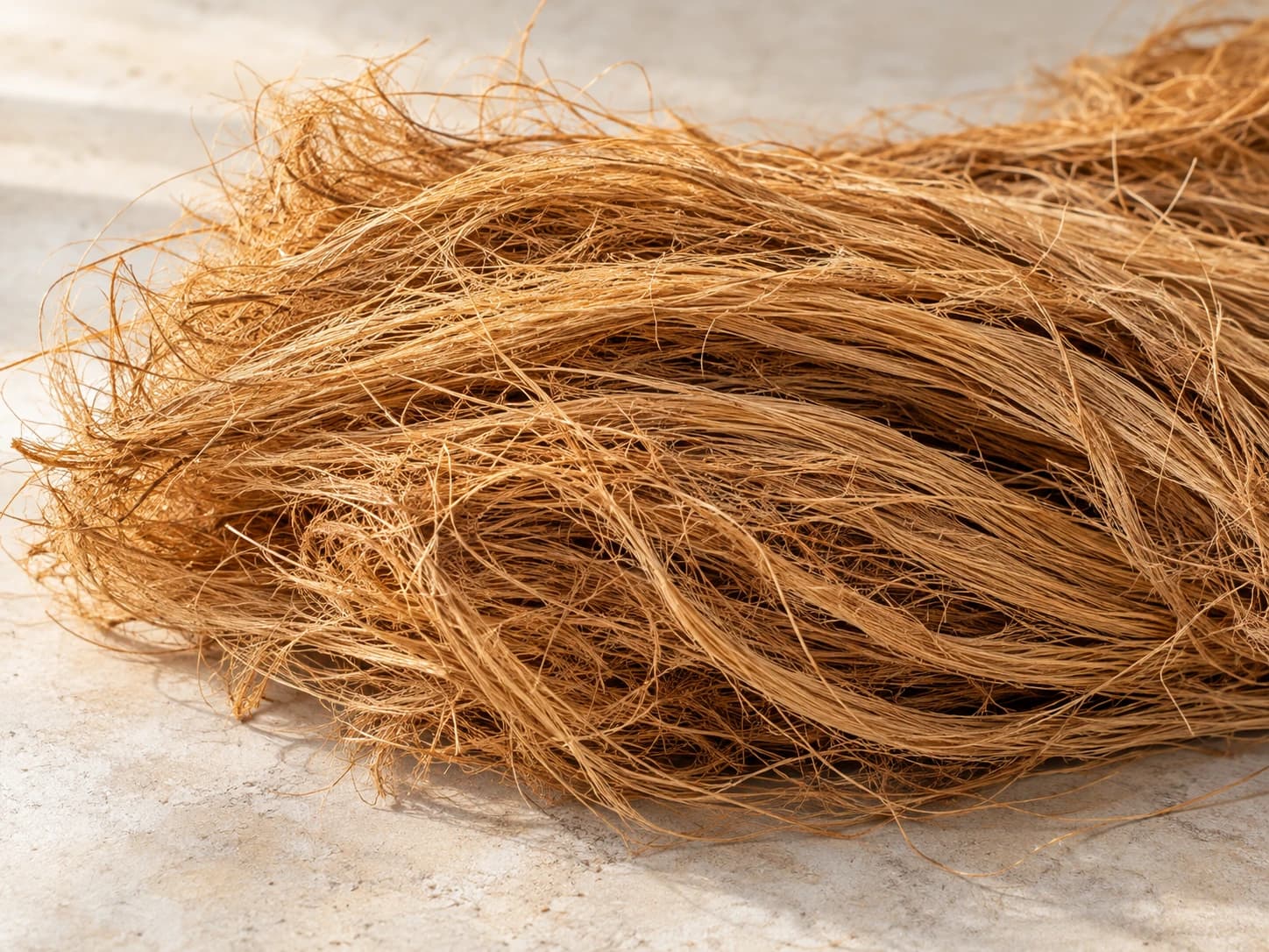 Close-up of long golden-brown coconut fibres