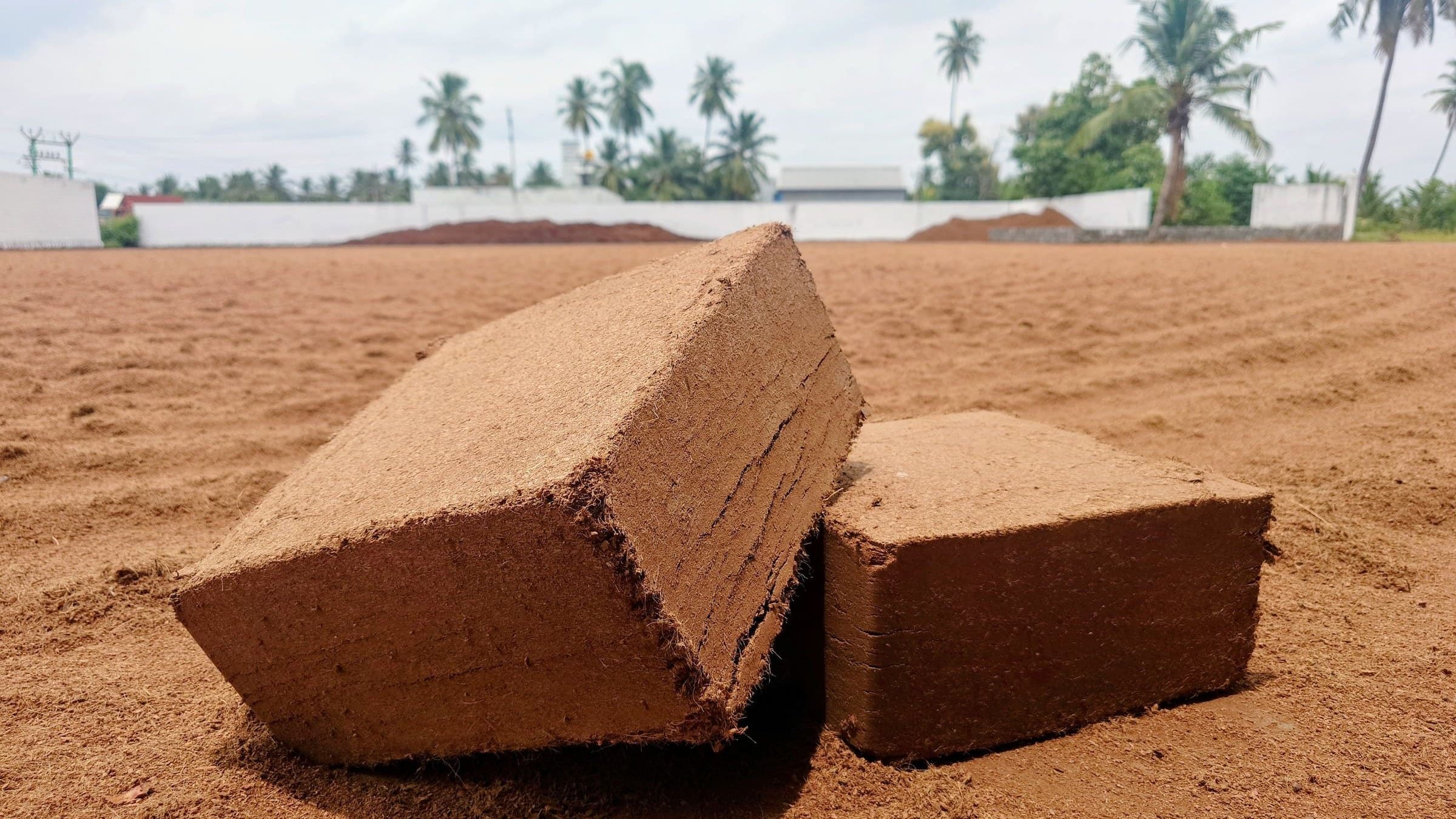 Compressed coco peat blocks on a drying yard